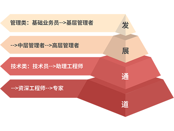 口袋德州官网-口袋德州APP下载